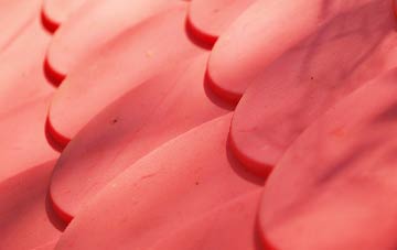 Bogniebrae plastic roof costs